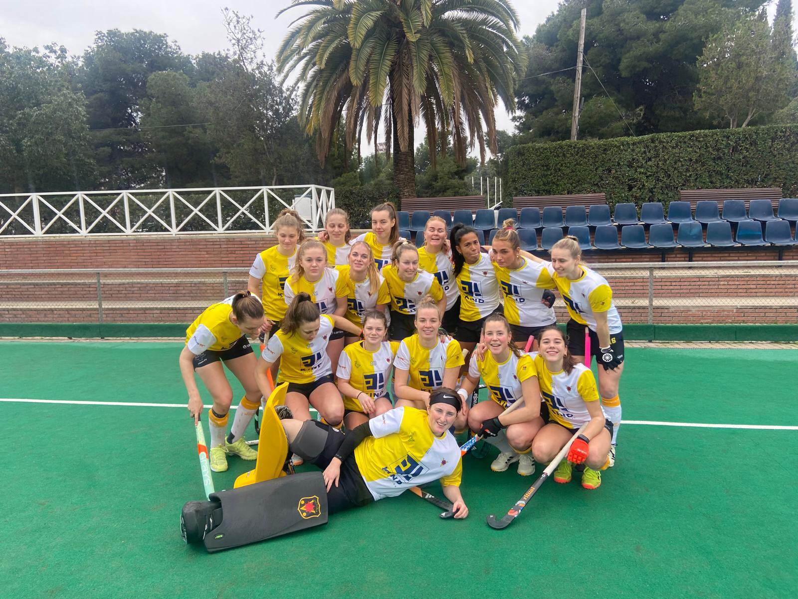 Team hockey